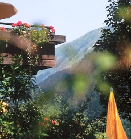 Hotel Adler Garni 3*