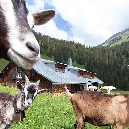 Adler Garni Hirschegg Rein