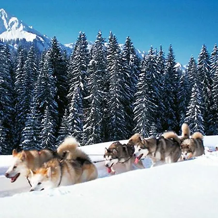 Adler Garni 3*