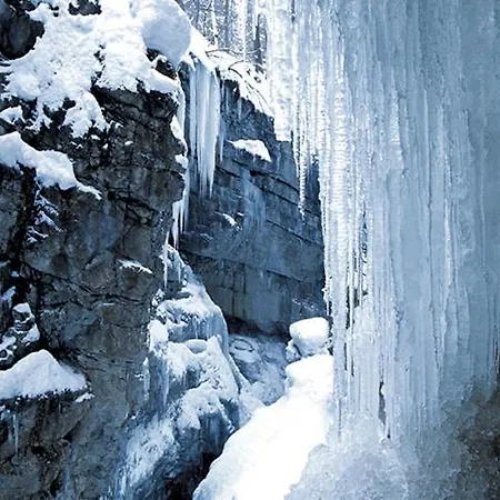 Hotel Adler Garni 3*