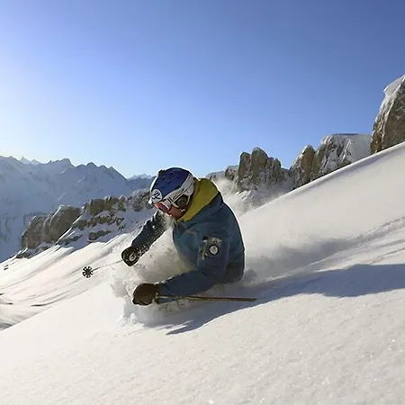 מלון Adler Garni 3*