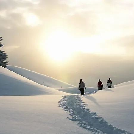 Adler Garni 3* Hirschegg (Vorarlberg)