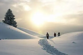 Adler Garni 3* Hirschegg (Vorarlberg)