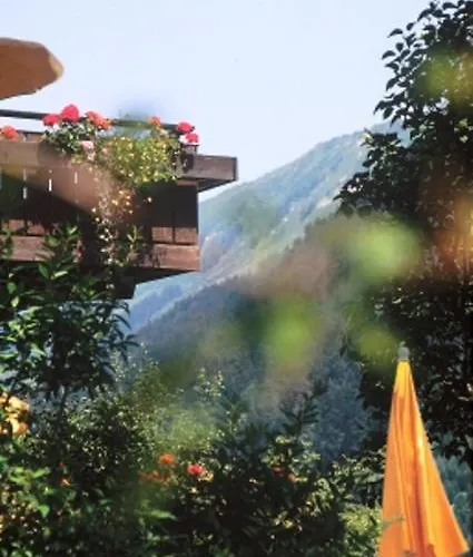 Hotel Adler Garni 3*