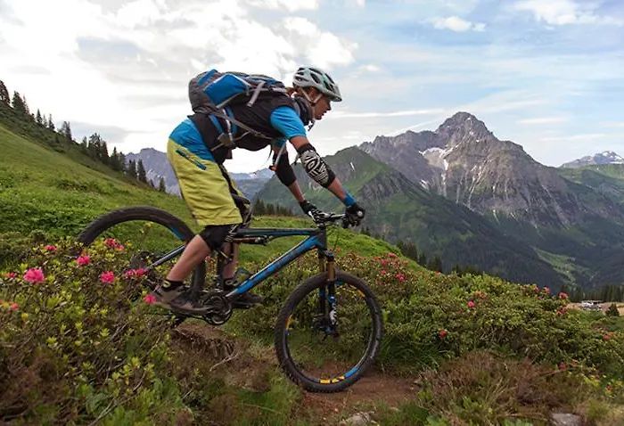 Adler Garni Hotel Hirschegg (Vorarlberg)