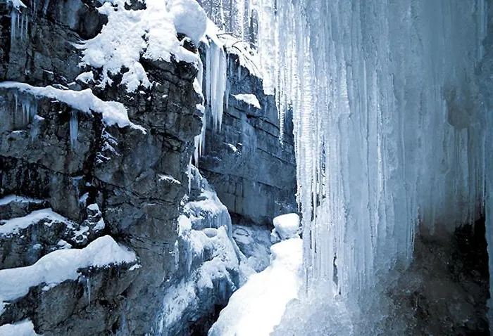 Hotel Adler Garni 3*