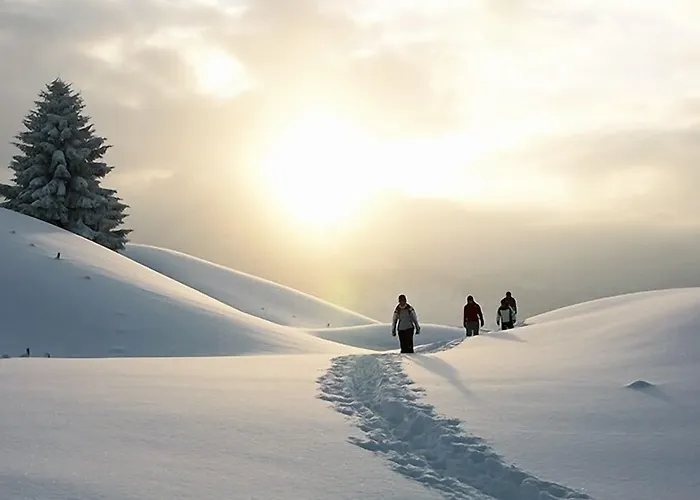 Adler Garni 3* Hirschegg (Vorarlberg)